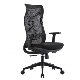 Ergonomic Office Chair Black Mesh High Back 2D Armrest Telescopic Footrest