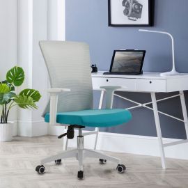 White and Blue Ergonomic Office Chair Mesh Back Rest with Lumbar Support
